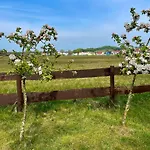 Seehund Feriendoppelhaus 