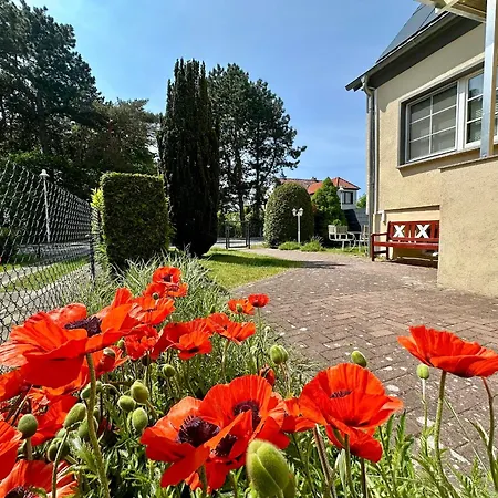 Hébergement de vacances Seehund Feriendoppelhaus 